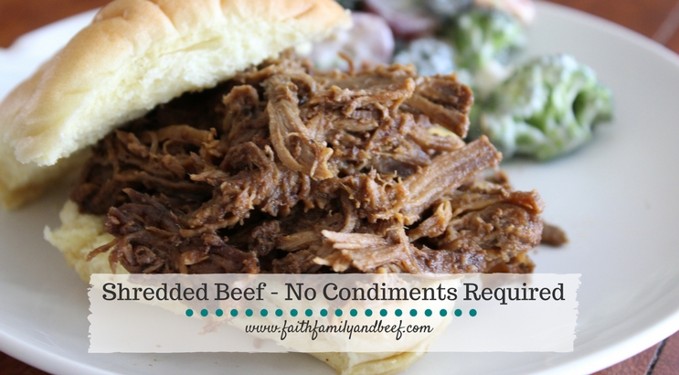 Shredded Beef - So good no condiments are required to enjoy this beef!