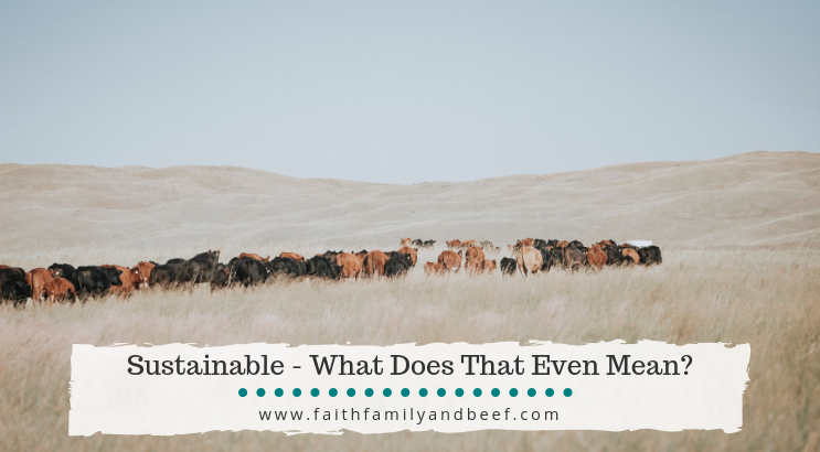 Sustainable - What Does That Even Mean?