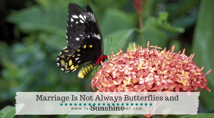 Marriage is not always butterflies and sunshine.