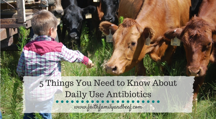 5 Things You Need to Know About Daily Use Antibiotics