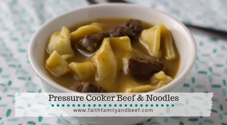 Pressure Cooker Beef & Noodles