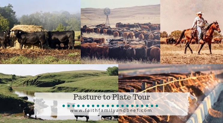 Pasture to Plate Tour
