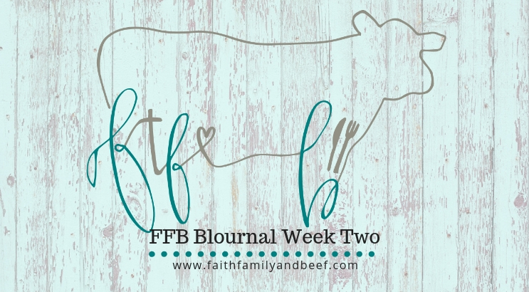 FFB Blournal Week Two