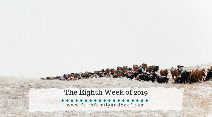 The Eighth Week of 2019