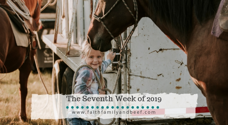 The Seventh Week of 2019