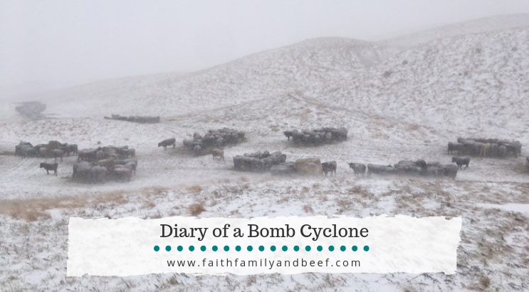 Diary of a Bomb Cyclone