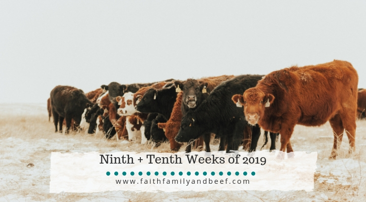 Ninth + Tenth Weeks of 2019