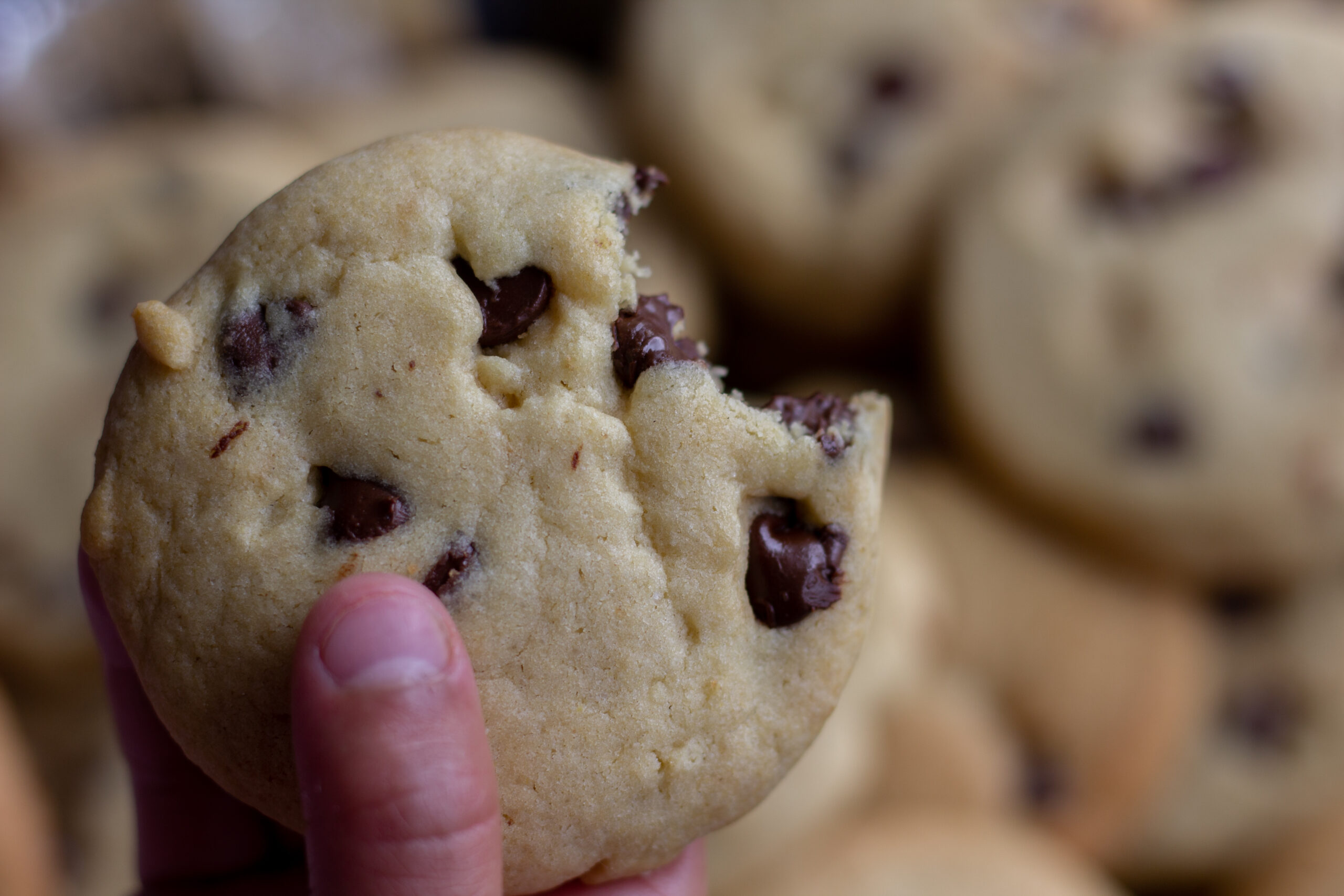 https://faithfamilyandbeef.com/wp-content/uploads/2019/10/Best-Chocolate-Chip-Cookies-Ever-2-scaled.jpg